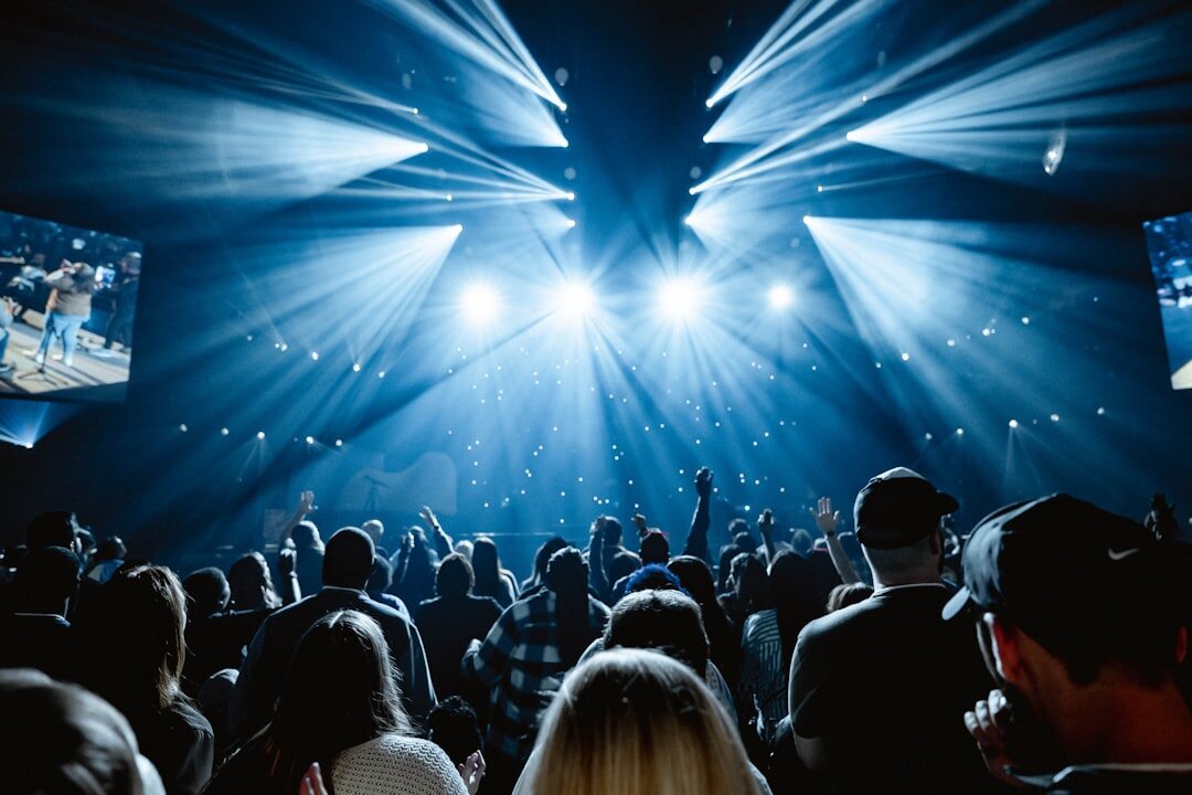 fans at concert